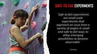 SAFE-TO-FAIL EXPERIMENTS
 