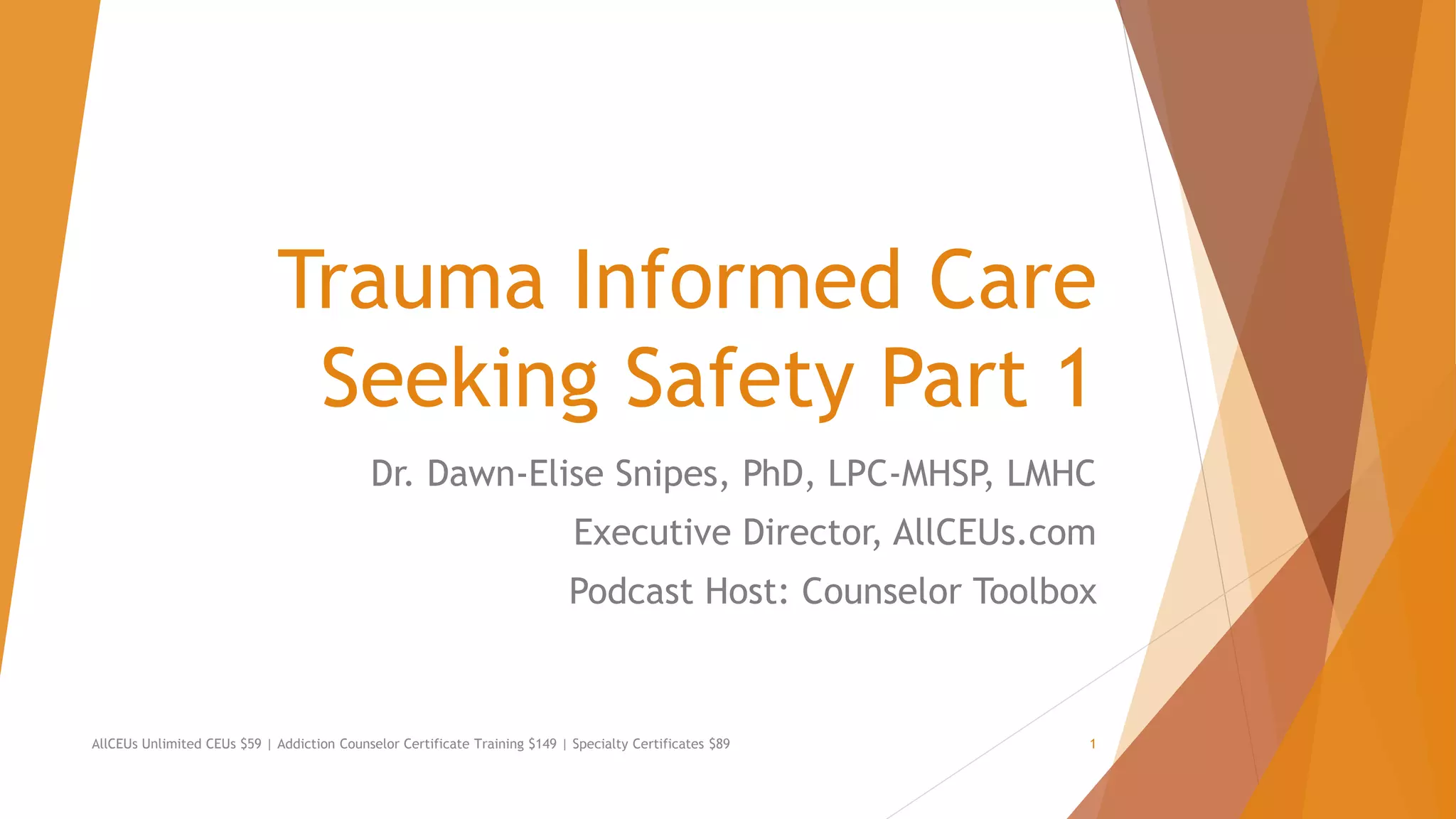 Seeking Safety Overview | PPTX