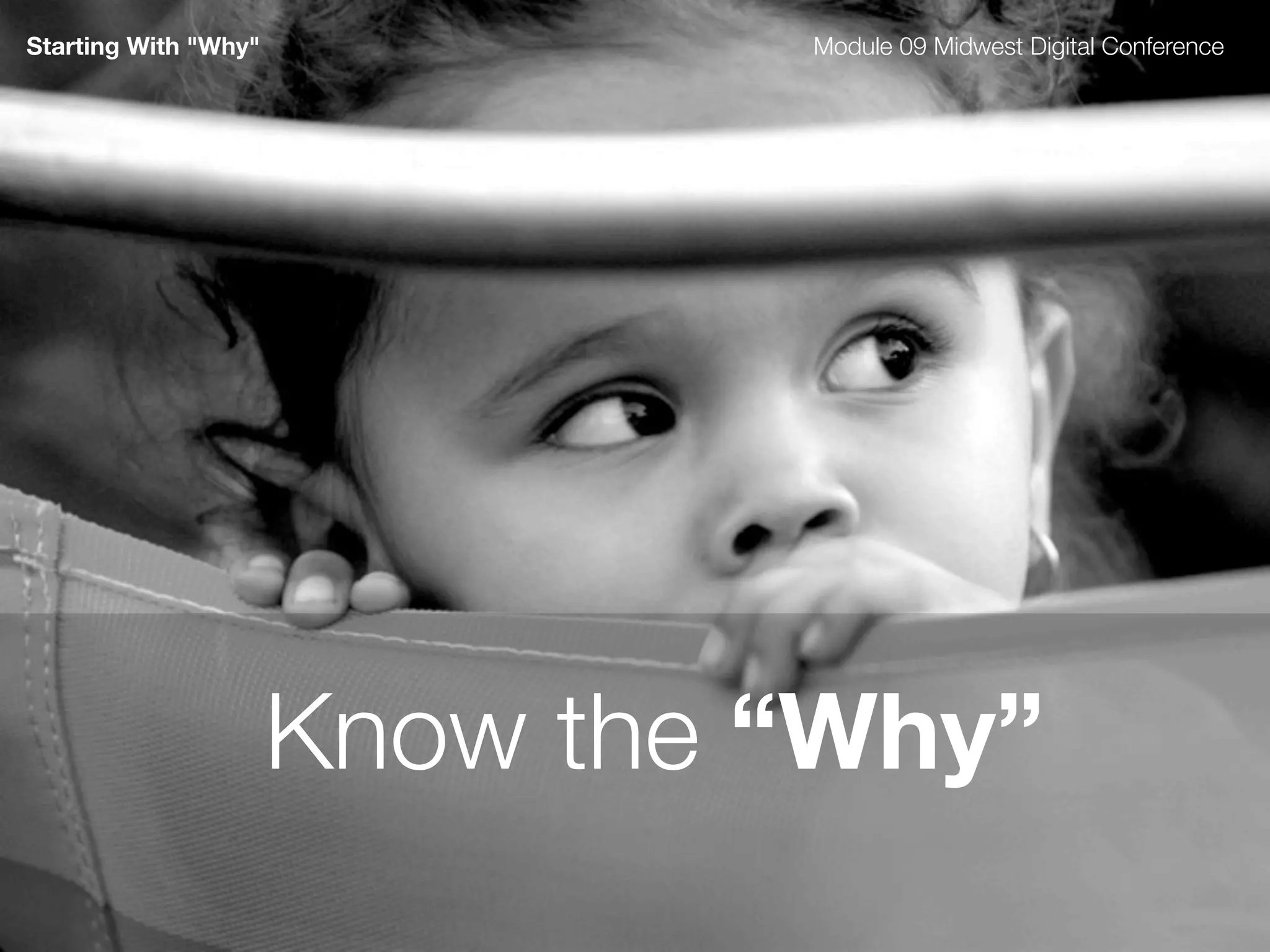 Seeking The Why - Module 09