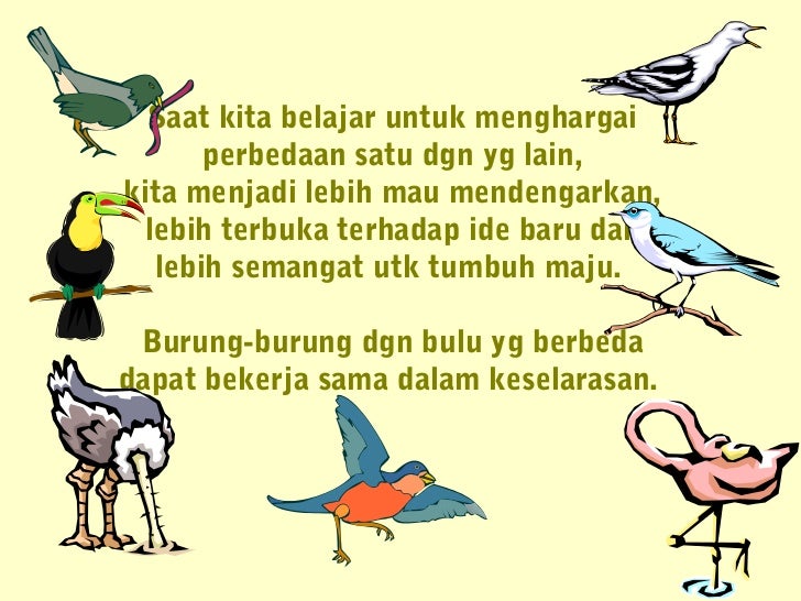 Filosofi Seekor merak dan sekelompok penguin