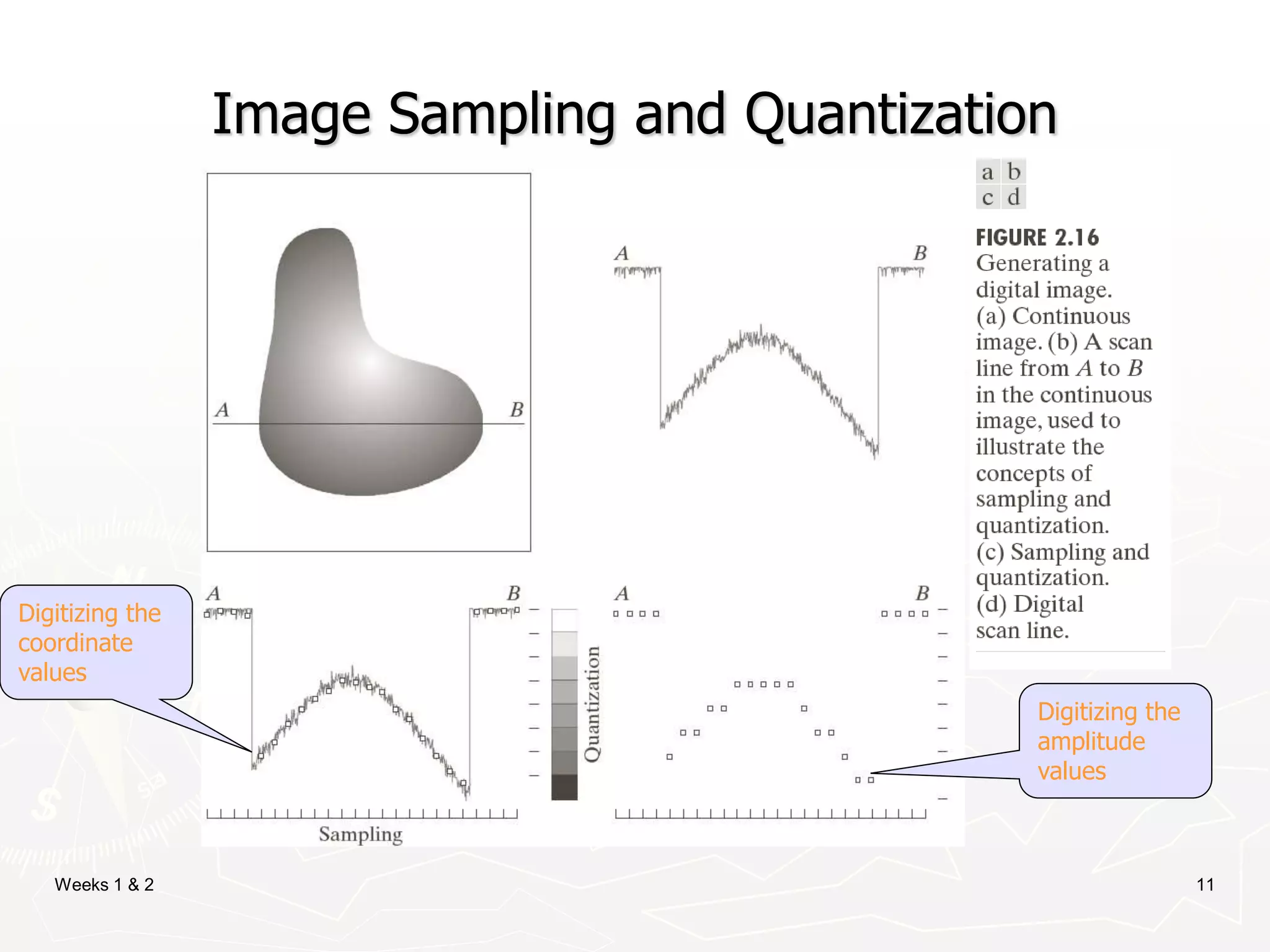 Weeks 1 & 2 11
Image Sampling and Quantization
Digitizing the
coordinate
values
Digitizing the
amplitude
values
 