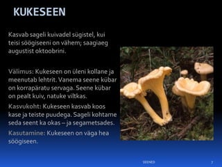 KUKESEEN
Kasvab sageli kuivadel sügistel, kui
teisi söögiseeni on vähem; saagiaeg
augustist oktoobrini.


Välimus: Kukeseen on üleni kollane ja
meenutab lehtrit. Vanema seene kübar
on korrapäratu servaga. Seene kübar
on pealt kuiv, natuke viltkas.
Kasvukoht: Kukeseen kasvab koos
kase ja teiste puudega. Sageli kohtame
seda seent ka okas – ja segametsades.
Kasutamine: Kukeseen on väga hea
söögiseen.

                                         SEENED   7
 