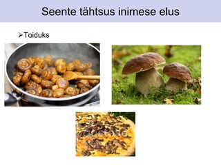Seente tähtsus inimese elus 
Toiduks 
 