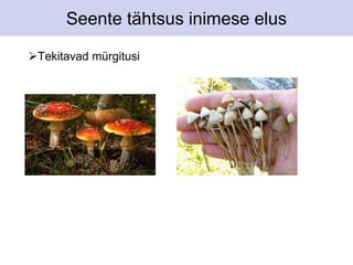 Seente tähtsus inimese elus 
Tekitavad mürgitusi 
 