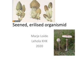 Seened, erilised organismid
Marje Loide
Lehola KHK
2020
 