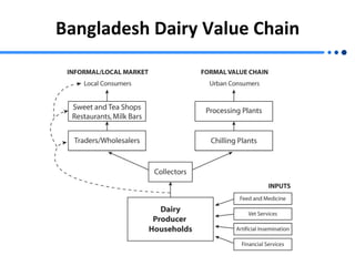 Bangladesh Dairy Value Chain 