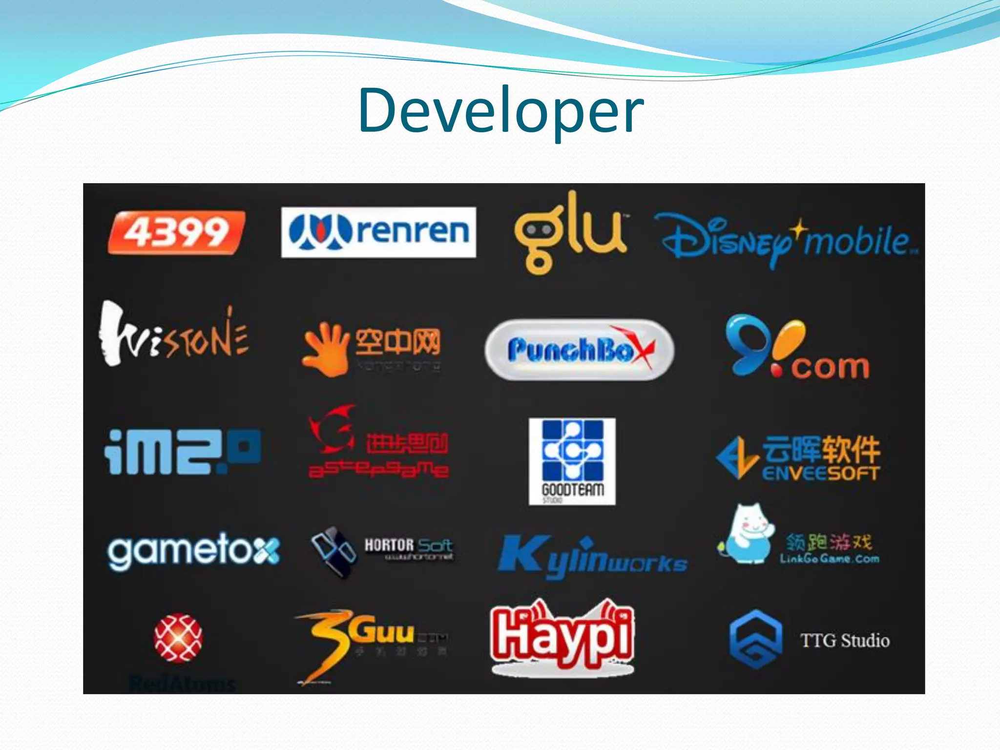 Developer  