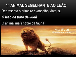 1° ANIMAL SEMELHANTE AO LEÃO
Representa o primeiro evangelho Mateus.
O leão da tribo de Judá.
O animal mais nobre da fauna
 