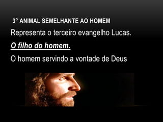 3° ANIMAL SEMELHANTE AO HOMEM
Representa o terceiro evangelho Lucas.
O filho do homem.
O homem servindo a vontade de Deus
 