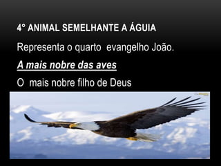 4° ANIMAL SEMELHANTE A ÁGUIA
Representa o quarto evangelho João.
A mais nobre das aves
O mais nobre filho de Deus
 