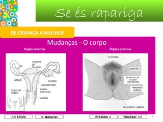Se és rapariga
DE CRIANÇA A MULHER

Mudanças - O corpo
Órgãos internos

<< Início

< Anterior

Órgãos externos

Próximo >

Finalizar >>

8

 