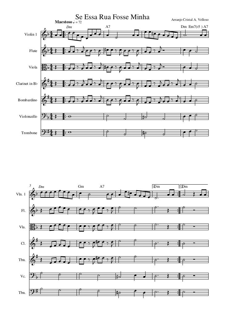 Se Essa Rua Fosse Minha Letra Original