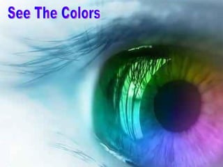 See The Colors 