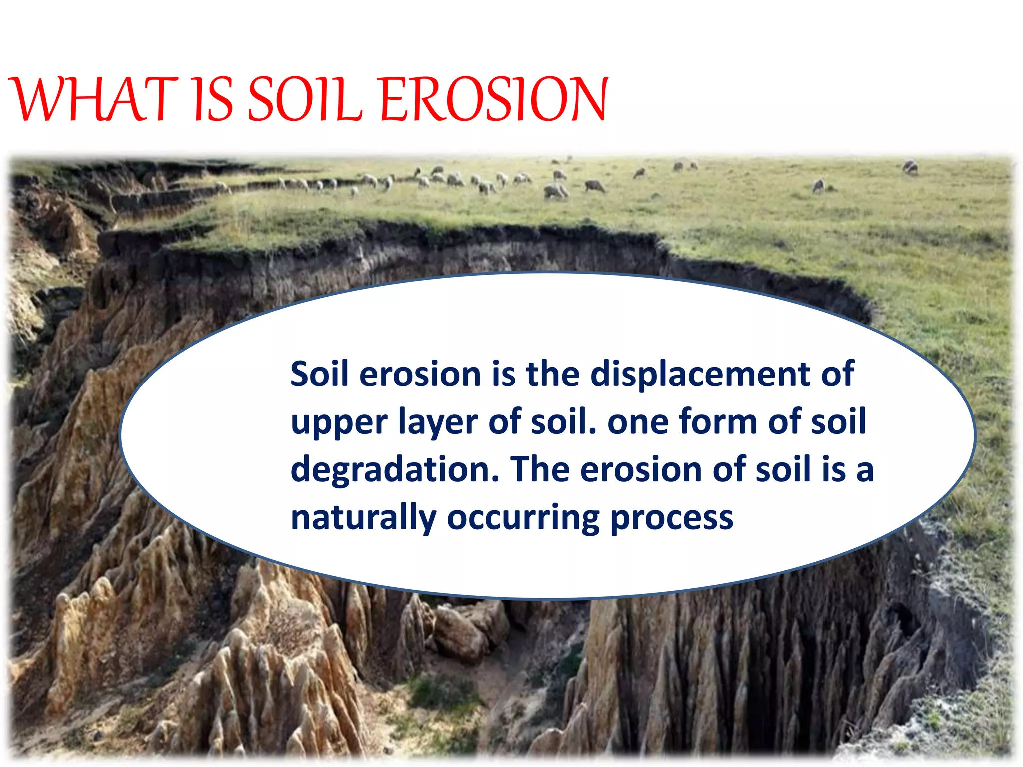 SOIL EROSION | PPTX