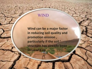 WIND
Wind can be a major factor
in reducing soil quality and
promotion erosion ,
particularly if the soil ’
structure has already been
loosened up
 