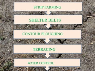 STRIP FARMING
SHELTER BELTS
CONTOUR PLOUGHING
TERRACING
WATER CONTROL
 