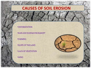 CAUSES OF SOIL EROSION
•DEFORESTATION
•RAINANDRAINWATERRUNOFF
•FARMING
•SLOPEOFTHELAND
•LACKOFVEGETATION
•WIND
 