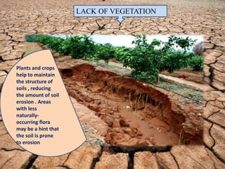 LACK OF VEGETATION
Plants and crops
help to maintain
the structure of
soils , reducing
the amount of soil
erosion . Areas
with less
naturally-
occurring flora
may be a hint that
the soil is prone
to erosion
 