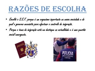Razões de escolhaEscolhi o S.E.F. porque é um organismo importante na nossa sociedade e do qual o governo necessita para efectuar o controlo de imigração.Porque o tema da imigração está em destaque na actualidade e é uma questão social emergente.