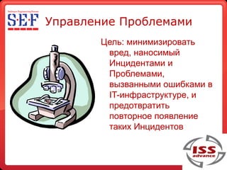 Sef 2009