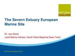 The Severn Estuary European
Marine Site
Dr. Joe Green
Lead Marine Adviser, South West Regional Seas Team
1
 