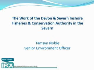 The Work of the Devon & Severn Inshore
Fisheries & Conservation Authority in the
Severn
Tamsyn Noble
Senior Environment Officer
 