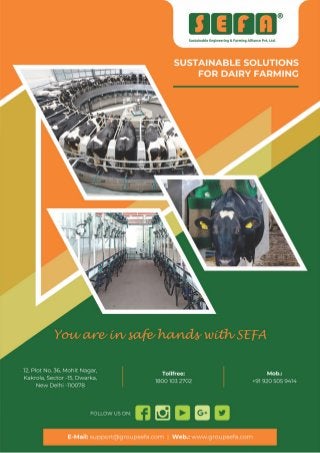 Dairy Equipment & Dairy Farm Supplies By Sustainable Engineering & Farming Alliance Private Limited
