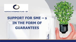 SUPPORT FOR SME – s
IN THE FORM OF
GUARANTEES
 