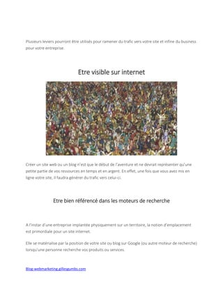 Blog-webmarketing.gillesgumbs.com
Plusieurs leviers pourront être utilisés pour ramener du trafic vers votre site et infine du business
pour votre entreprise.
Etre visible sur internet
Créer un site web ou un blog n’est que le début de l’aventure et ne devrait représenter qu’une
petite partie de vos ressources en temps et en argent. En effet, une fois que vous avez mis en
ligne votre site, il faudra générer du trafic vers celui-ci.
Etre bien référencé dans les moteurs de recherche
A l’instar d’une entreprise implantée physiquement sur un territoire, la notion d’emplacement
est primordiale pour un site internet.
Elle se matérialise par la position de votre site ou blog sur Google (ou autre moteur de recherche)
lorsqu’une personne recherche vos produits ou services.
 