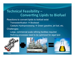 Reactions to convert lipids to biofuel exist
   Transesterification  Biodiesel
   Catalytic Hydroprocessing  Green gasoline, jet fuel, etc.
Challenges:
   Large, commercial scale refining facilities required
   Refining processes need to be optimized for algal lipid
   feedstock




TAG
 