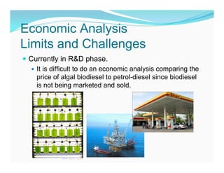 Economic Analysis
Limits and Challenges
 Currently in R&D phase.
   It is difficult to do an economic analysis comparing the
    price of algal biodiesel to petrol-diesel since biodiesel
    is not being marketed and sold.
 