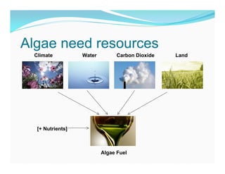 Algae need resources
 Climate          Water         Carbon Dioxide   Land




  [+ Nutrients]



                          Algae Fuel
 