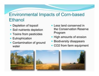 Environmental Impacts of Corn-based
Ethanol
 Depletion of topsoil        Less land conserved in
 Soil nutrients depletion     the Conservation Reserve
 Toxins from pesticides       Program
 Eutrophication              High amounts of erosion
 Contamination of ground     Biodiversity disappears
  water                       CO2 from farm equipment
 Depletion of Aquifers
 