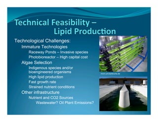 Technological Challenges:
   Immature Technologies
      Raceway Ponds – Invasive species
      Photobioreactor – High capital cost
   Algae Selection
      Indigenous species and/or
      bioengineered organisms                mvm.uni-karlsruhe.de
      High lipid production
      Fast growth rate
      Strained nutrient conditions
   Other infrastructure
      Nutrient and CO2 Sources
          Wastewater? Oil Plant Emissions?
 