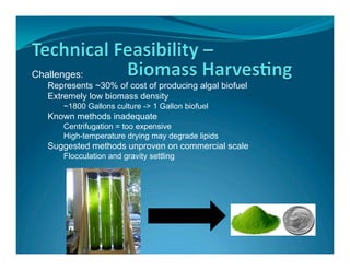 Challenges:
   Represents ~30% of cost of producing algal biofuel
   Extremely low biomass density
      ~1800 Gallons culture -> 1 Gallon biofuel
   Known methods inadequate
      Centrifugation = too expensive
      High-temperature drying may degrade lipids
   Suggested methods unproven on commercial scale
      Flocculation and gravity settling
 