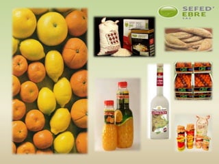 Catàleg Sefed ebre 2016 català