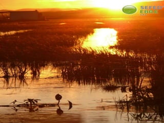Catàleg Sefed ebre 2016 català
