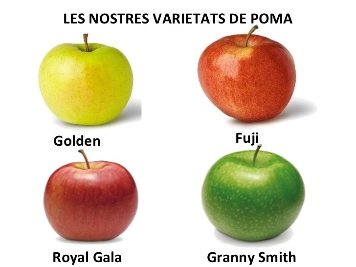 Resultat d'imatges de varietats de pomes