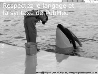 Respectez le langage et
la syntaxe de PubMed
Showing respect (RIP Ku, Sept 19, 2008) par gwaar Licence CC BY
 