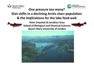 One pressure too many?
Diet shifts in a declining Arctic charr population
   & the implications for the lake food web
             Peter Smyntek & Jonathan Grey
        School of Biological and Chemical Sciences
            Queen Mary University of London
 