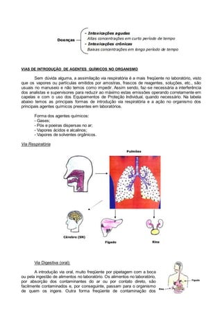 VIAS DE INTRODUÇÃO DE AGENTES QUÍMICOS NO ORGANISMO
Sem dúvida alguma, a assimilação via respiratória é a mais freqüente no laboratório, visto
que os vapores ou partículas emitidos por amostras, frascos de reagentes, soluções, etc., são
usuais no manuseio e não temos como impedir. Assim sendo, faz-se necessária a interferência
dos analistas e supervisores para reduzir ao máximo estas emissões operando corretamente em
capelas e com o uso dos Equipamentos de Proteção Individual, quando necessário. Na tabela
abaixo temos as principais formas de introdução via respiratória e a ação no organismo dos
principais agentes químicos presentes em laboratórios.
Forma dos agentes químicos:
- Gases;
- Pós e poeiras dispersas no ar;
- Vapores ácidos e alcalinos;
- Vapores de solventes orgânicos.
Via Respiratória
Via Digestiva (oral):
A introdução via oral, muito freqüente por pipetagem com a boca
ou pela ingestão de alimentos no laboratório. Os alimentos no laboratório,
por absorção dos contaminantes do ar ou por contato direto, são
facilmente contaminados e, por conseguinte, passam para o organismo
de quem os ingere. Outra forma freqüente de contaminação dos
 