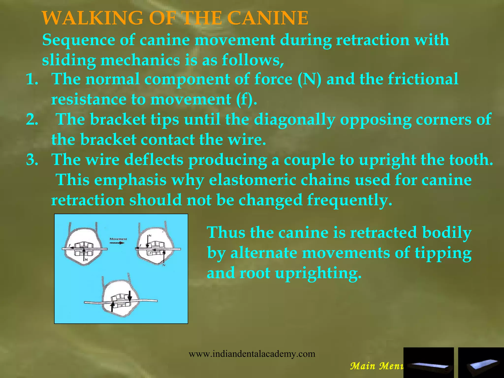 WALKING OF THE CANINE
Sequence of canine movement during retraction with
sliding mechanics is as follows,
1. The normal component of force (N) and the frictional
resistance to movement (f).
2.  The bracket tips until the diagonally opposing corners of
the bracket contact the wire.
3. The wire deflects producing a couple to upright the tooth.
This emphasis why elastomeric chains used for canine
retraction should not be changed frequently.
Thus the canine is retracted bodily
by alternate movements of tipping
and root uprighting.
Main Menu
www.indiandentalacademy.com
 
