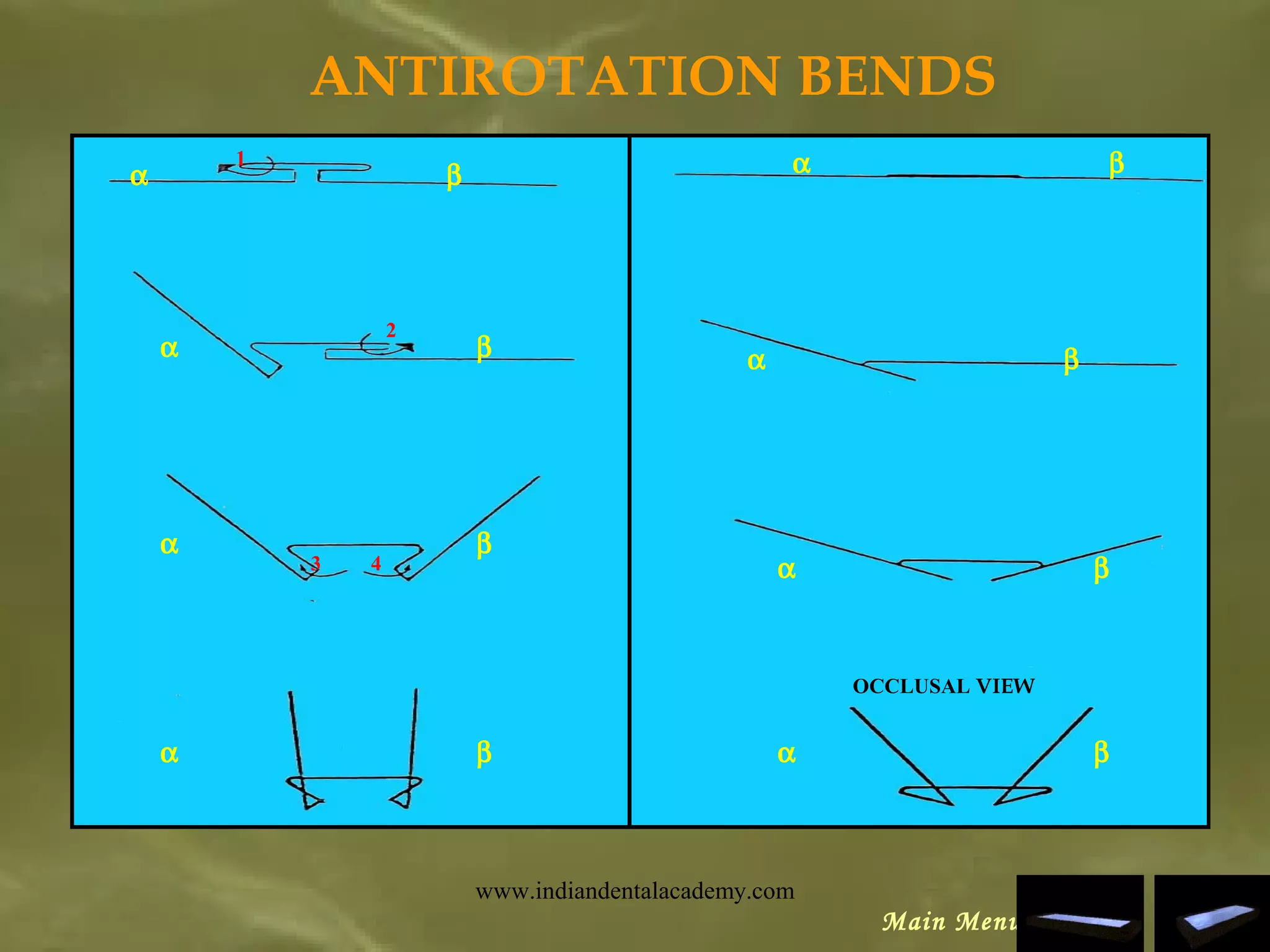 ANTIROTATION BENDS
1
βα
2
3 4
βα
βα
βα
βα
βα
βα βα
OCCLUSAL VIEW
Main Menu
www.indiandentalacademy.com
 