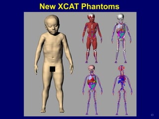 13
New XCAT Phantoms
 