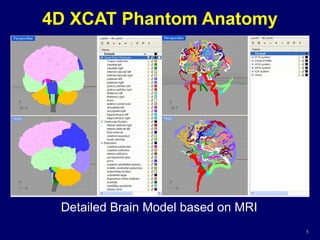 5
Detailed Brain Model based on MRI
4D XCAT Phantom Anatomy
 