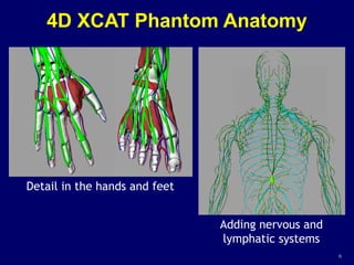 6
4D XCAT Phantom Anatomy
Detail in the hands and feet
Adding nervous and
lymphatic systems
 