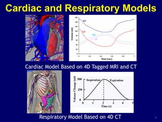 Cardiac and Respiratory Models
Cardiac Model Based on 4D Tagged MRI and CT
Respiratory Model Based on 4D CT 7
 