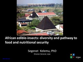 www.icipe.org
African edible-insects: diversity and pathway to
food and nutritional security
Segenet Kelemu, PhD
Director General, icipe
 