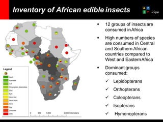 Segenet Kelemu - African edible-insects: diversity and pathway to  food and nutritional security
