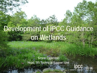 Task Force on National Greenhouse Gas Inventories




Development of IPCC Guidance
        on Wetlands

              Simon Eggleston
       Head, TFI Technical Support Unit
 
